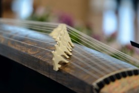 Japońska harfa Koto © Lexus